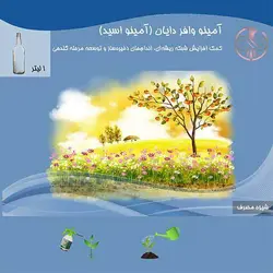 آمینو وافر دایان