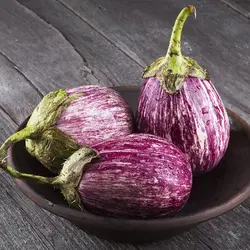 بذر بادمجان زبرا دلمه ای
