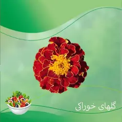 بذر گل جعفری خوراکی