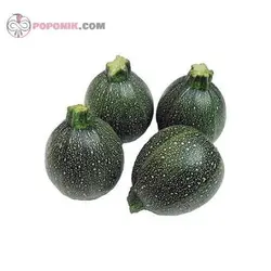 بذر کدو گرد سبز آرزومان