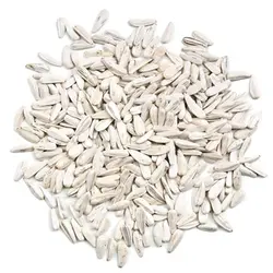 بذر گل آفتابگردان سفید