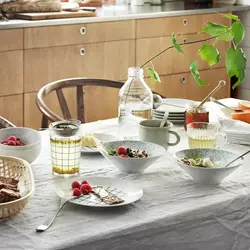 لیوان کوتاه ایکیا IKEA-SPORADISK - فروشگاه اینترنتی پرنس هوم