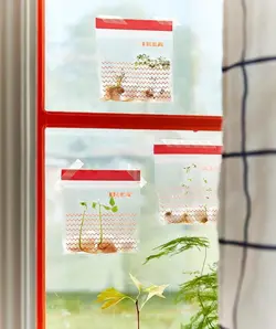 پاکت زیپ دار ایکیا IKEA-ISTAD - فروشگاه اینترنتی پرنس هوم