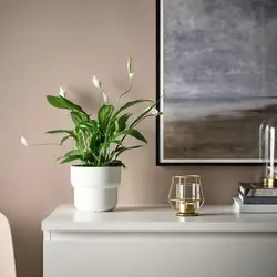 جاشمعی طلایی ایکیا IKEA-PÄRLBAND - فروشگاه اینترنتی پرنس هوم