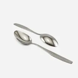 قاشق چای خوری 12 پارچه ماینز