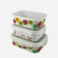 ست ظروف فریزری سرامیکی گلدار یونیک کد 2848 - فروشگاه اینترنتی پرنس هوم