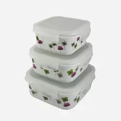 ظروف غذا فریزری 3 سایز سرامیکی مربع گلدار یونیک کد 2844 - فروشگاه اینترنتی پرنس هوم