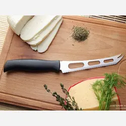 چاقو مخصوص پنیر ترامونتینا برزیل کد 23089/106