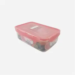 ظرف غذا فریزری مربعی 1.15 لیتر یونیک کد 2847 - فروشگاه اینترنتی پرنس هوم