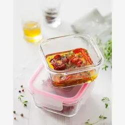 ظرف نگهدارنده تکی دربدار لاو کد FRS227 - فروشگاه اینترنتی پرنس هوم