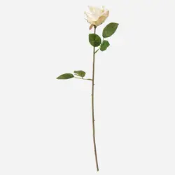 گل رز مصنوعی سفید ایکیا IKEA-SMYCKA - فروشگاه اینترنتی پرنس هوم
