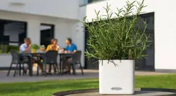 گلدان اتوماتیک لچوزا Lechuza-cube-14