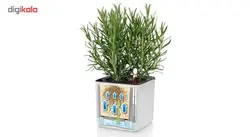 گلدان اتوماتیک لچوزا Lechuza-cube-14