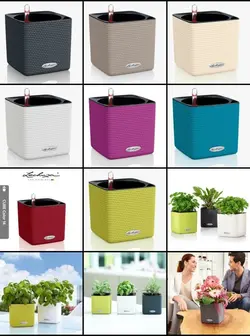 گلدان اتوماتیک لچوزا Lechuza-cube-14