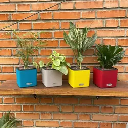 گلدان اتوماتیک لچوزا Lechuza-cube-14