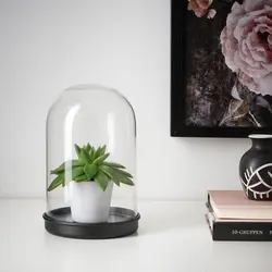 محافظ گنبدی گیاه مصنوعی ایکیا IKEA-SKONJA - فروشگاه اینترنتی پرنس هوم