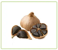 سیر سیاه ممتاز پروبیوتیک