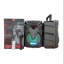 اسپیکر چمدانی مدل KTS-1209