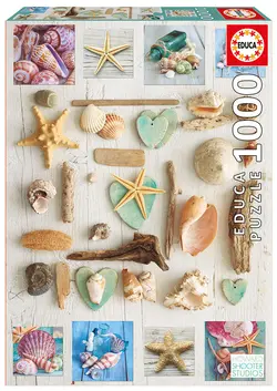 پازل ۱۰۰۰ تکه کلاژ صدف های دریایی