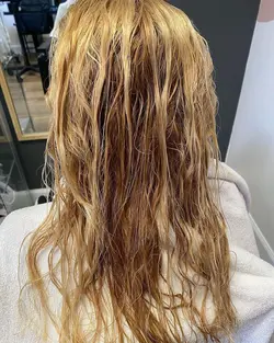 بوتاکس هویج بنفش ناتوریزا Natureza