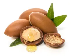 پروتئین مو ویتاپلکس  حاوی کراتین و کلاژن  Vitaplex Keratin