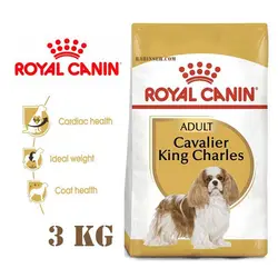 غذای خشک سگ بالغ نژاد کاوالیر کینگ رویال کنین 3 کیلویی + ارسال رایگان