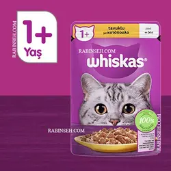 پوچ گربه بالغ ویسکاس مرغ در ژله 85 گرمی