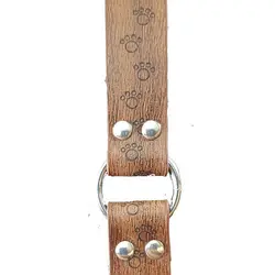 قلاده گردنی سگ طرح دار