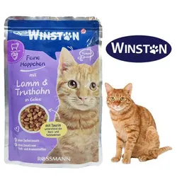 پوچ گربه وینستون طعم گوشت بره و بوقلمون 100 گرم