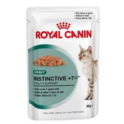 پوچ گربه بالای 7 سال -بهداشت دهان