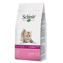 غذای خشک مخصوص بچه گربه