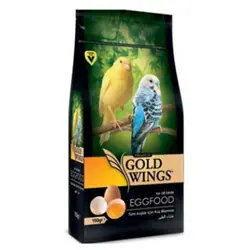 غذای تخم مرغی