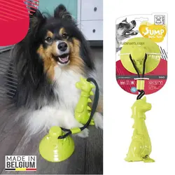 دندانی چسبانکی سگ با محفظه تشویقی ام پتز بلژیک مدل DINO