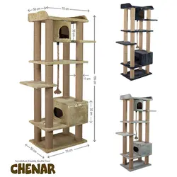 درخت گربه چنار کدیپک + ارسال رایگان