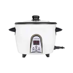 پلوپز دیجیتال هاردستون مدل RCM4310