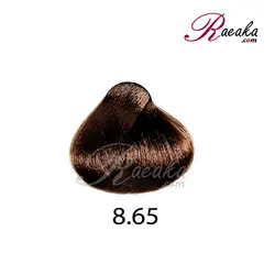 رنگ موی بیجورکا سِری فندقی- شماره 8.65 (بلوند فندقی روشن) حجم 100 میلی لیتر - فروشگاه رائیکا – انتخاب و خرید آنلاین محصولات بهداشت فردی و زیبایی