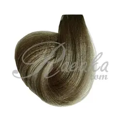 رنگ موی نیو پرستیژ سری دودی- بلوند دودی خیلی روشن- شماره ۹٫۲ حجم ۱۲۰ میلی لیتر - فروشگاه رائیکا – انتخاب و خرید آنلاین محصولات بهداشت فردی و زیبایی