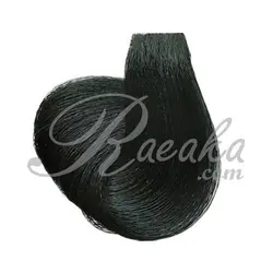 رنگ موی نیو پرستیژ سری خاکستری- مشکی پرکلاغی- شماره ۱٫۱ حجم ۱۲۰ میلی لیتر - فروشگاه رائیکا – انتخاب و خرید آنلاین محصولات بهداشت فردی و زیبایی