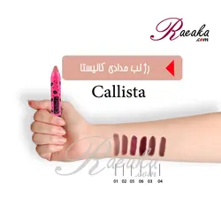 رژ لب مدادی کالیستا مدل سکرت بایت شماره ۰۵ حجم ۳٫۳ میلی لیتر - فروشگاه رائیکا – انتخاب و خرید آنلاین محصولات بهداشت فردی و زیبایی