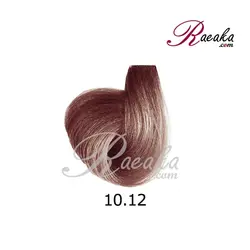 رنگ موی نیو پرستیژ سری دودی بنفش- دودی بنفش روشن- شماره 10/12 حجم ۱۲۰ میلی لیتر - فروشگاه رائیکا – انتخاب و خرید آنلاین محصولات بهداشت فردی و زیبایی