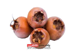 ازگیل جنگلی بسته یک کیلویی