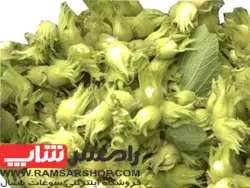 فندق تازه مقدار یک کیلو - رامسرشاپ ؛ فروشگاه اینترنتی صنایع دستی و سوغات شمال