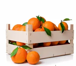 پرتقال محلی شمال بسته 8 کیلویی - رامسرشاپ