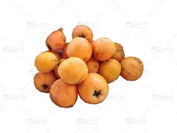 ازگیل ژاپنی بسته 5 کیلویی - رامسرشاپ ؛ فروشگاه اینترنتی سوغات شمال