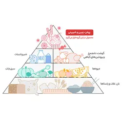 تخمه آفتابگردان گلپر گلستان مقدار 100 گرم