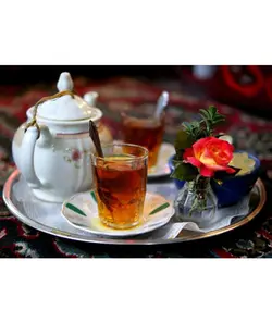 چای سیاه کیسه ای گلستان رویال ارل گری پک 25 عددی