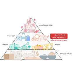 عدس گلستان مقدار 450 گرم