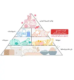 لوبیا چیتی گلستان مقدار 450 گرم