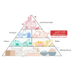 لپه گلستان مقدار 450 گرم