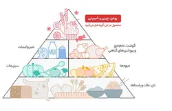 مربا آلبالو شانا – 570 گرم